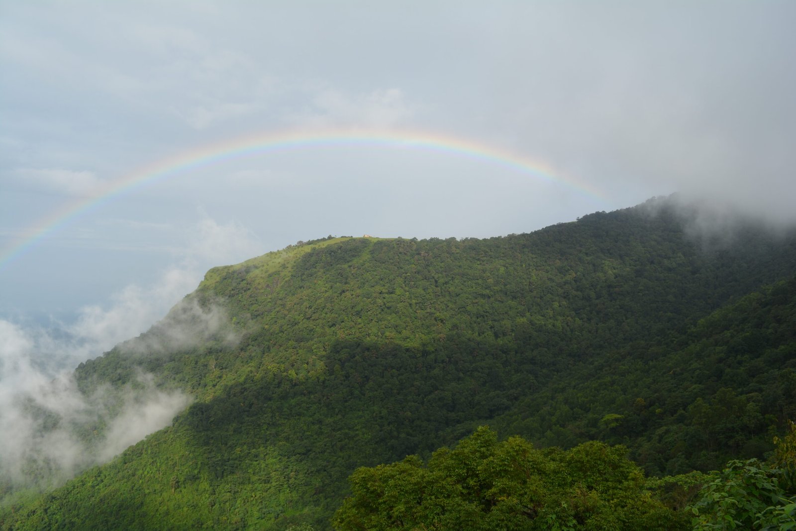 View of Paithalmala