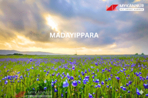 Kannur Madayippara – The Majestic Laterite Hill of Kannur | Complete Travel Guide